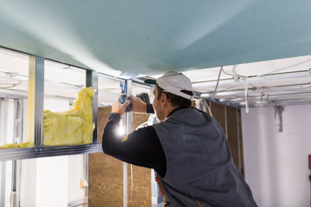 Best Insulation Maintenance and Repair in Pea Ridge, WV